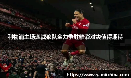 JN体育
