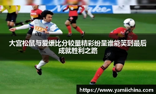 JN体育