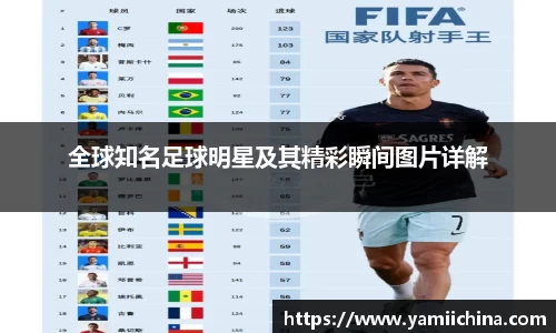 jn江南·体育登录入口