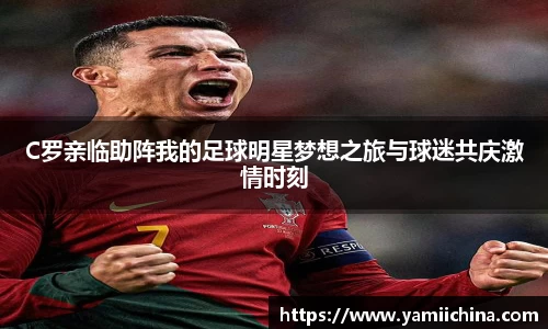 jn江南·体育登录入口