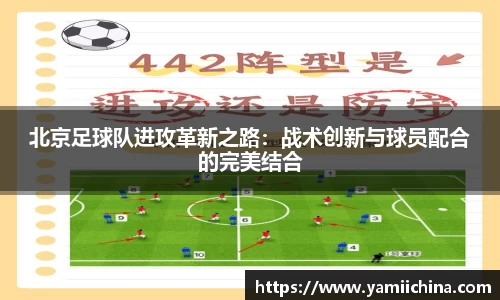 jn江南·体育登录入口