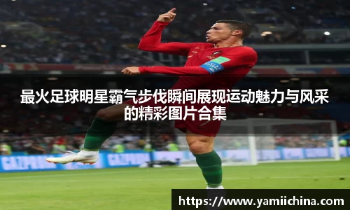 jn江南·体育登录入口