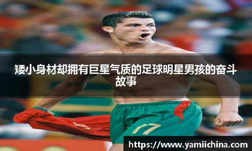 jn江南·体育登录入口